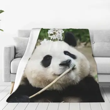 Одеяло Fubao Aibao Panda Fu Bao Теплое Уютное Всесезонное Комфортное Пледовое Одеяло для Долговечности По Доступной цене