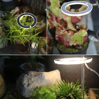 Светодиодный светильник для выращивания растений, фитолампа полного спектра, USB-кольцевая лампа в виде ангела для суккулентов, выращивания цветочных растений (солнечный свет)