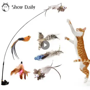 Забавная Имитационная Птица Интерактивная Игрушка Для Кошек С Супер Присоской Перо Птицы Для Котенка Play Chase Exercise Cat Toy Supplies