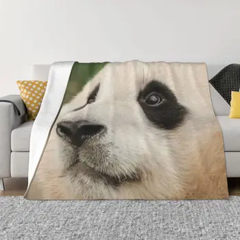 Одеяло С Животными Fubao Panda Fu Bao, Зимнее Теплое Всесезонное Комфортное Одеяло, Покрывало для Роскошного Постельного Белья, Домашнего Декора