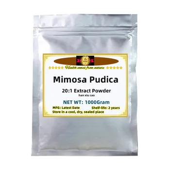 Бесплатная доставка Высокое Качество Mimosa Pudica